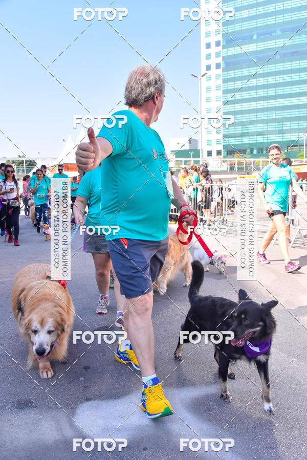 Buy your photos of the event2 Pet Run Shopping Eldorado  on Fotop