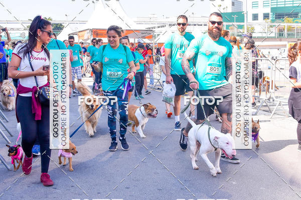 Buy your photos of the event2 Pet Run Shopping Eldorado  on Fotop