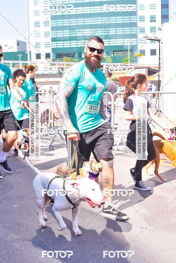 Buy your photos of the event2 Pet Run Shopping Eldorado  on Fotop