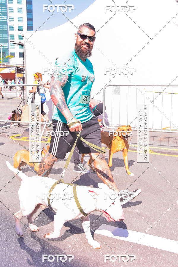Buy your photos of the event2 Pet Run Shopping Eldorado  on Fotop