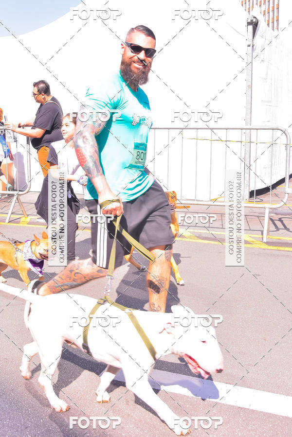 Buy your photos of the event2 Pet Run Shopping Eldorado  on Fotop