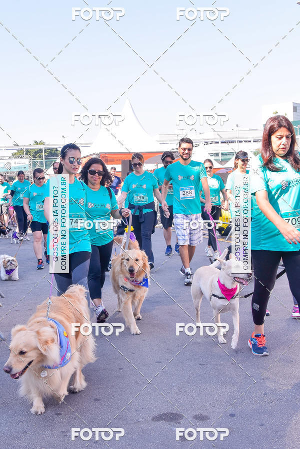 Buy your photos of the event2 Pet Run Shopping Eldorado  on Fotop