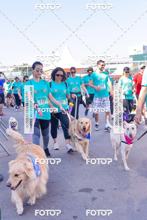 Buy your photos of the event2 Pet Run Shopping Eldorado  on Fotop