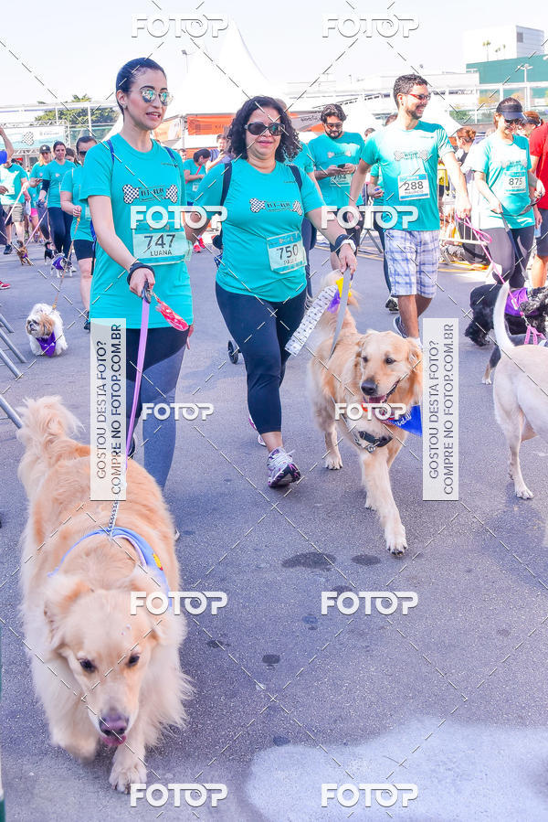 Buy your photos of the event2 Pet Run Shopping Eldorado  on Fotop