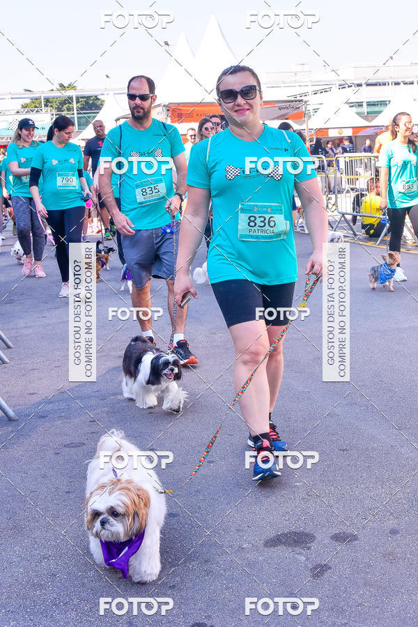 Buy your photos of the event2 Pet Run Shopping Eldorado  on Fotop