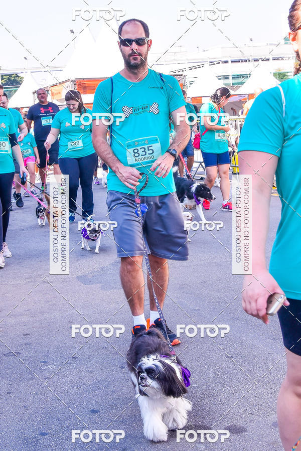 Buy your photos of the event2 Pet Run Shopping Eldorado  on Fotop