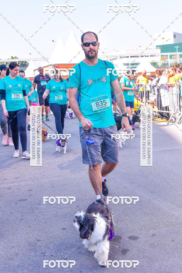 Buy your photos of the event2 Pet Run Shopping Eldorado  on Fotop