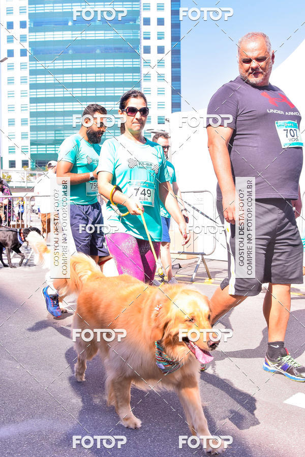 Buy your photos of the event2 Pet Run Shopping Eldorado  on Fotop