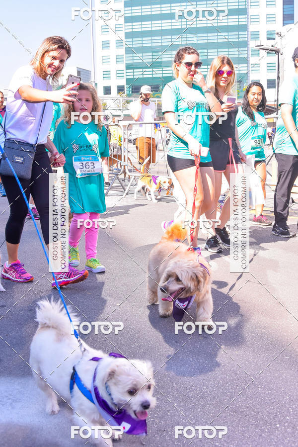 Buy your photos of the event2 Pet Run Shopping Eldorado  on Fotop