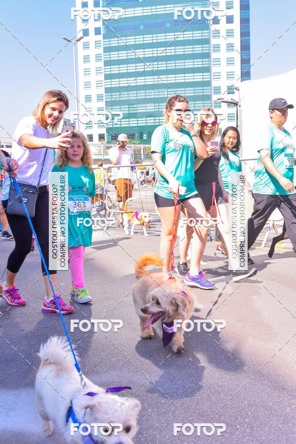 Buy your photos of the event2 Pet Run Shopping Eldorado  on Fotop