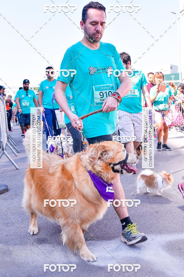 Buy your photos of the event2 Pet Run Shopping Eldorado  on Fotop