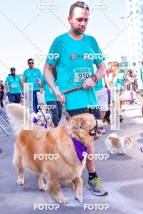 Buy your photos of the event2 Pet Run Shopping Eldorado  on Fotop