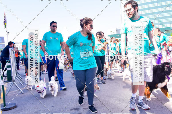 Buy your photos of the event2 Pet Run Shopping Eldorado  on Fotop