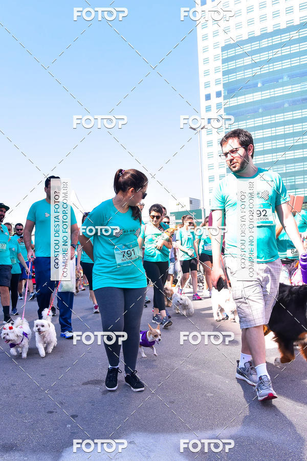 Buy your photos of the event2 Pet Run Shopping Eldorado  on Fotop