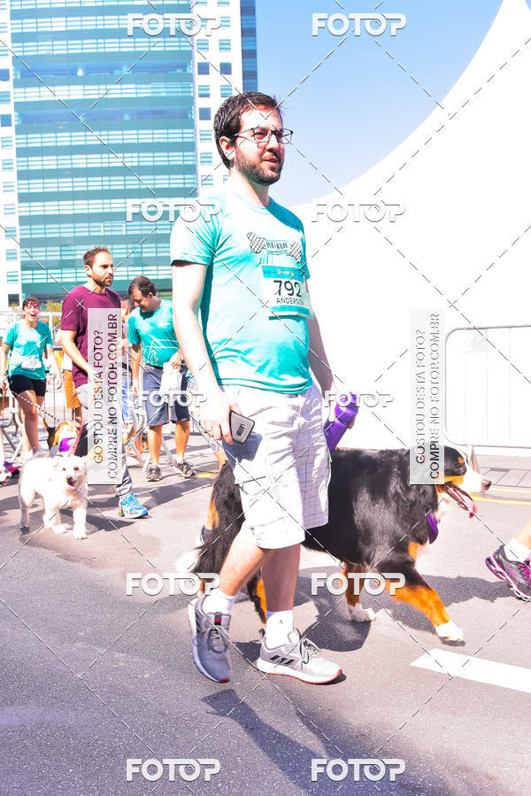 Buy your photos of the event2 Pet Run Shopping Eldorado  on Fotop
