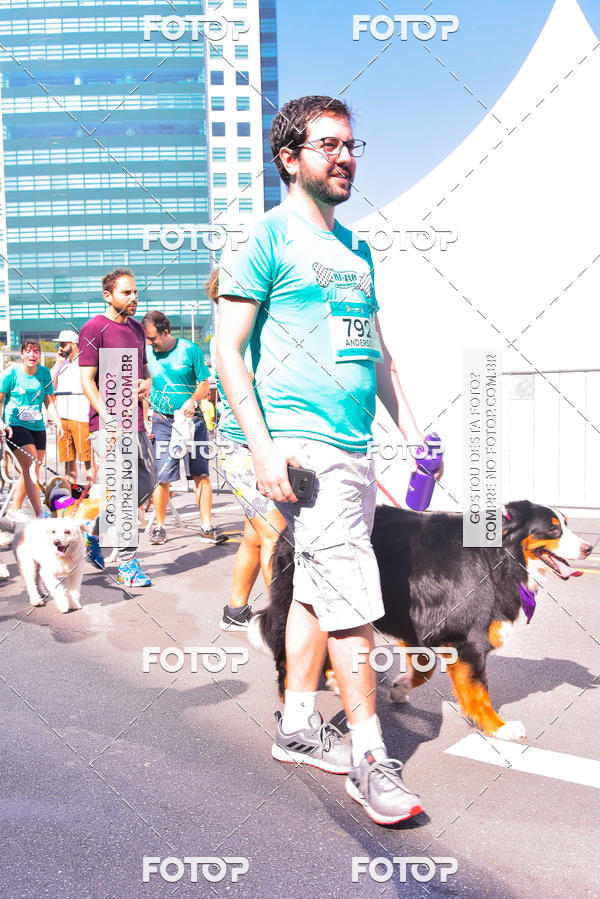 Buy your photos of the event2 Pet Run Shopping Eldorado  on Fotop
