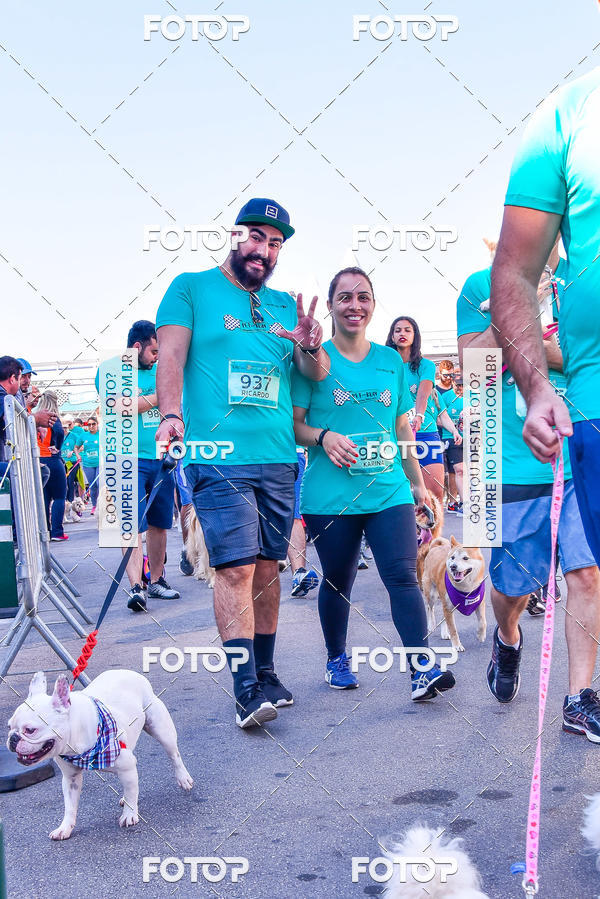 Buy your photos of the event2 Pet Run Shopping Eldorado  on Fotop