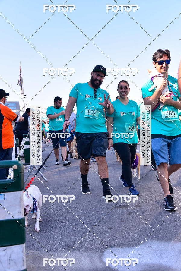 Buy your photos of the event2 Pet Run Shopping Eldorado  on Fotop