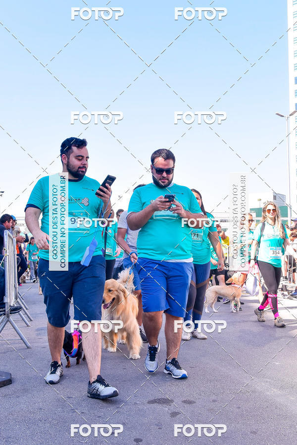 Buy your photos of the event2 Pet Run Shopping Eldorado  on Fotop