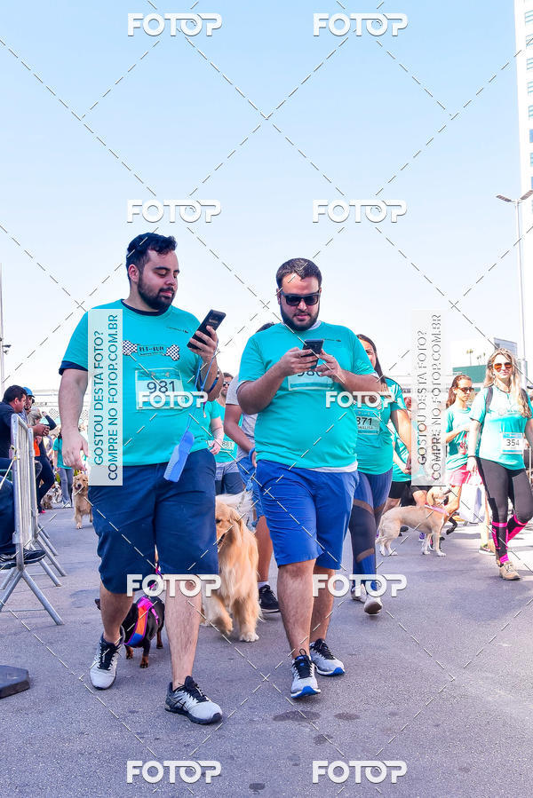 Buy your photos of the event2 Pet Run Shopping Eldorado  on Fotop