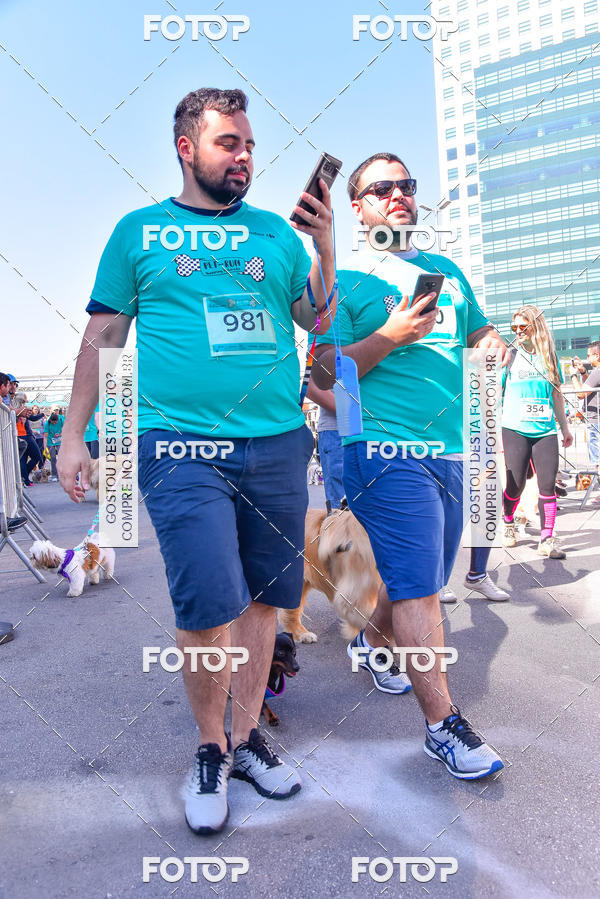 Buy your photos of the event2 Pet Run Shopping Eldorado  on Fotop