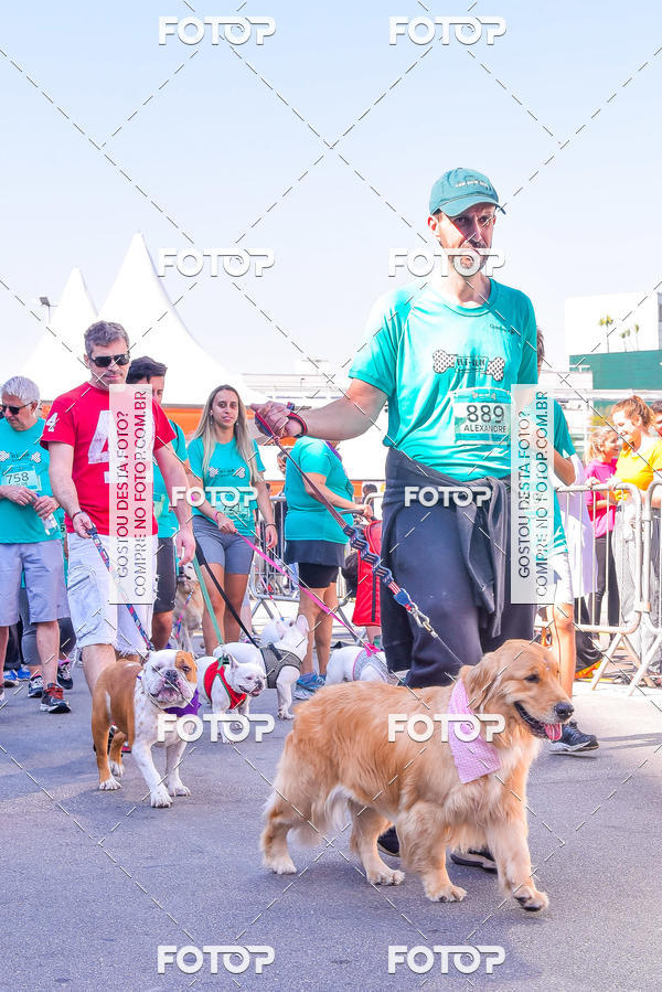 Buy your photos of the event2 Pet Run Shopping Eldorado  on Fotop