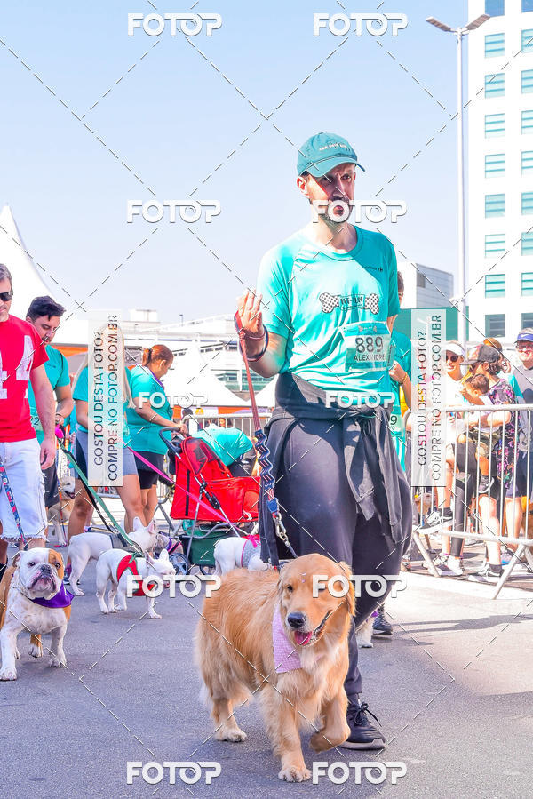 Buy your photos of the event2 Pet Run Shopping Eldorado  on Fotop