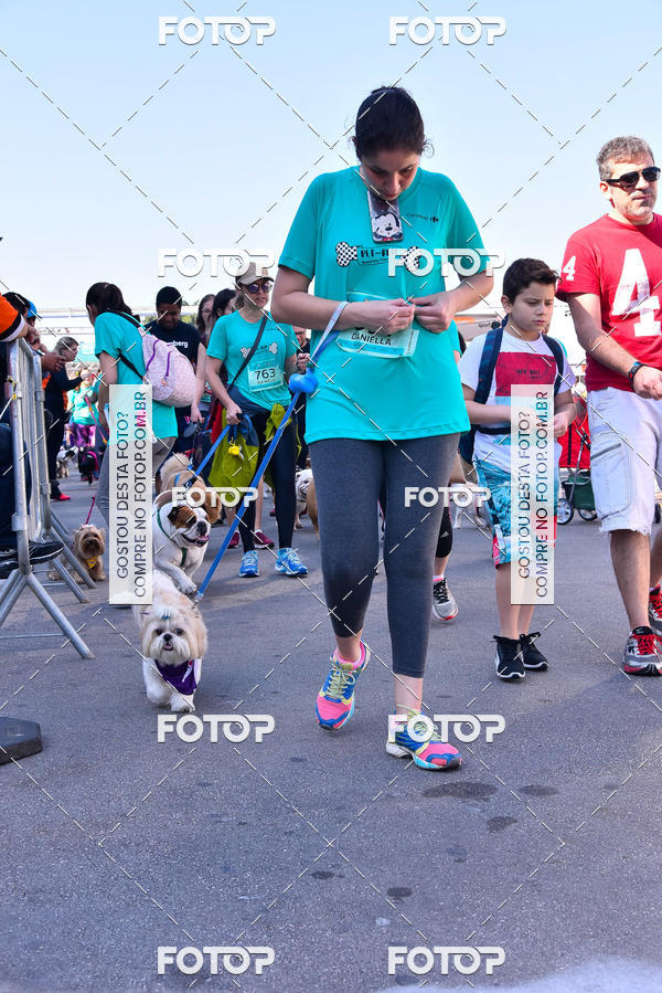 Buy your photos of the event2 Pet Run Shopping Eldorado  on Fotop