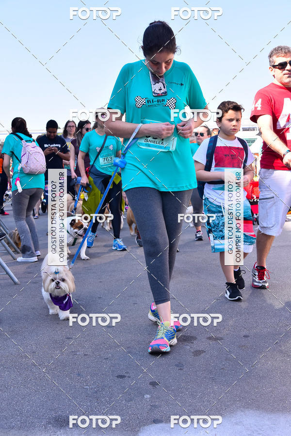 Buy your photos of the event2 Pet Run Shopping Eldorado  on Fotop