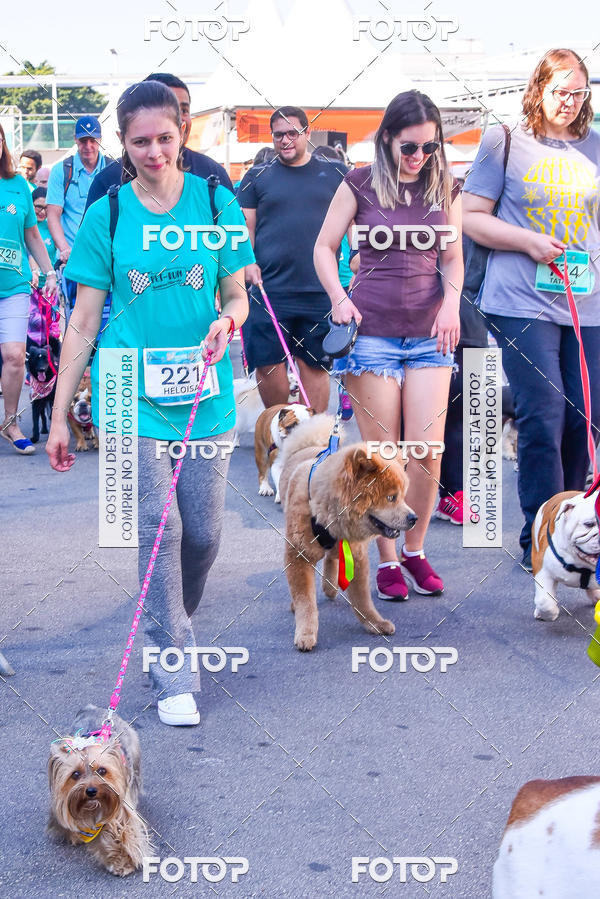 Buy your photos of the event2 Pet Run Shopping Eldorado  on Fotop