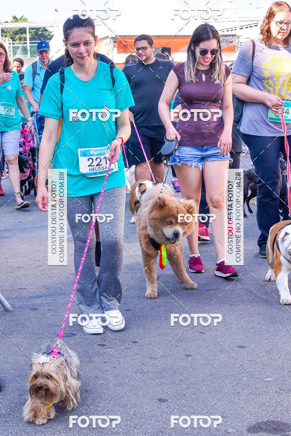 Buy your photos of the event2 Pet Run Shopping Eldorado  on Fotop