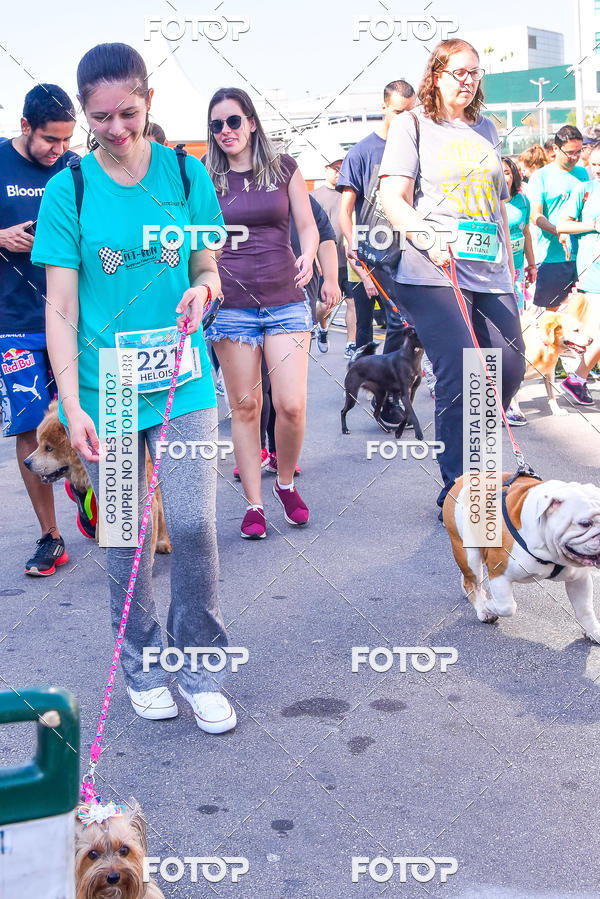 Buy your photos of the event2 Pet Run Shopping Eldorado  on Fotop