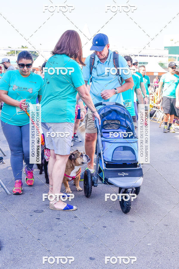 Buy your photos of the event2 Pet Run Shopping Eldorado  on Fotop
