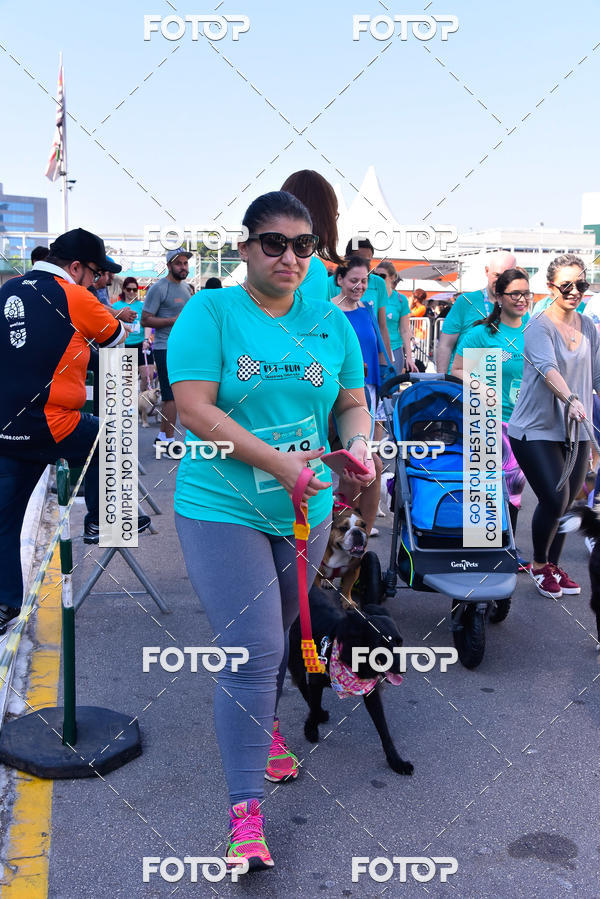 Buy your photos of the event2 Pet Run Shopping Eldorado  on Fotop