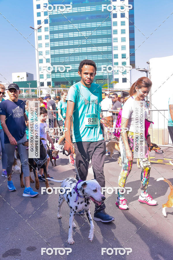 Buy your photos of the event2 Pet Run Shopping Eldorado  on Fotop