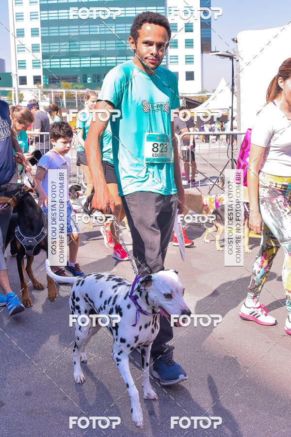 Buy your photos of the event2 Pet Run Shopping Eldorado  on Fotop