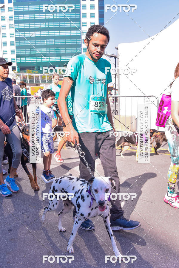 Buy your photos of the event2 Pet Run Shopping Eldorado  on Fotop
