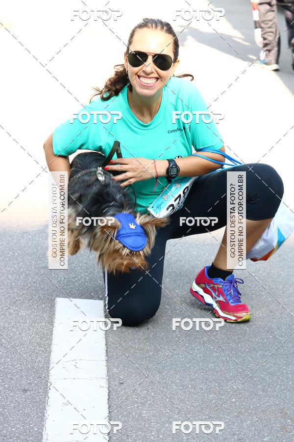 Buy your photos of the event2 Pet Run Shopping Eldorado  on Fotop