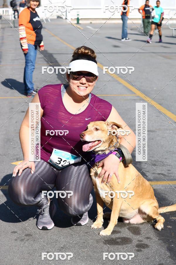 Buy your photos of the event2 Pet Run Shopping Eldorado  on Fotop