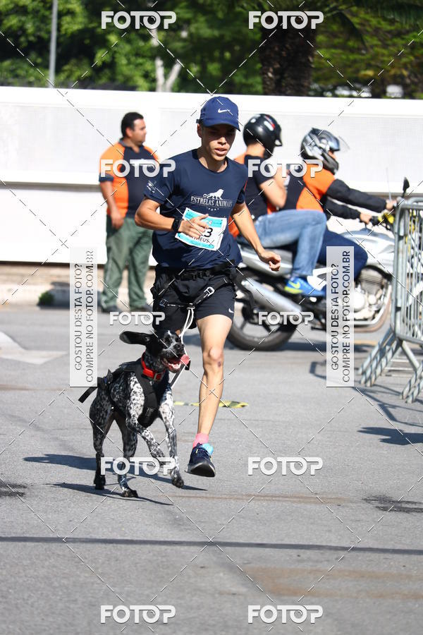 Buy your photos of the event2 Pet Run Shopping Eldorado  on Fotop