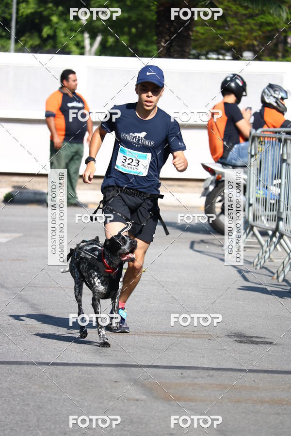 Buy your photos of the event2 Pet Run Shopping Eldorado  on Fotop