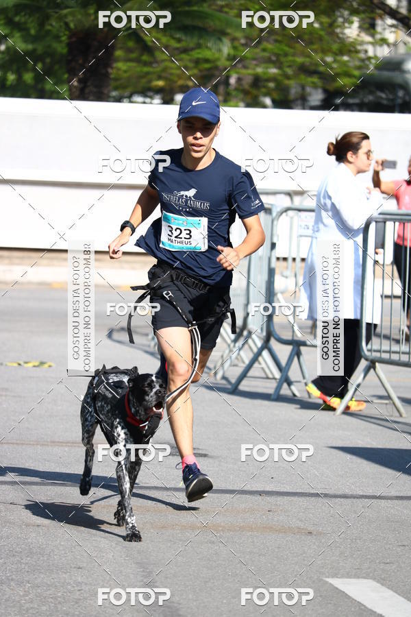 Buy your photos of the event2 Pet Run Shopping Eldorado  on Fotop