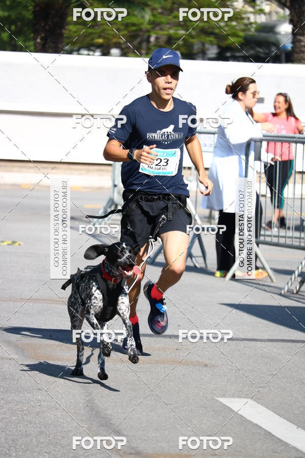 Buy your photos of the event2 Pet Run Shopping Eldorado  on Fotop