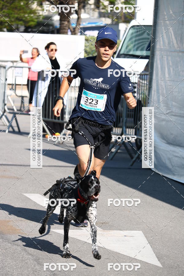 Buy your photos of the event2 Pet Run Shopping Eldorado  on Fotop