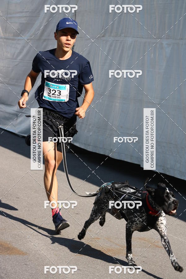 Buy your photos of the event2 Pet Run Shopping Eldorado  on Fotop