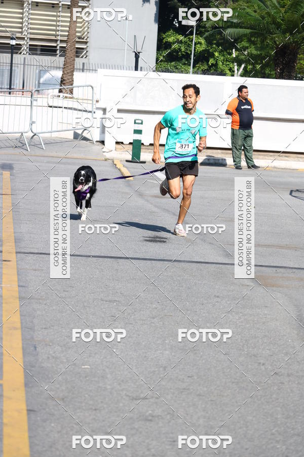 Buy your photos of the event2 Pet Run Shopping Eldorado  on Fotop