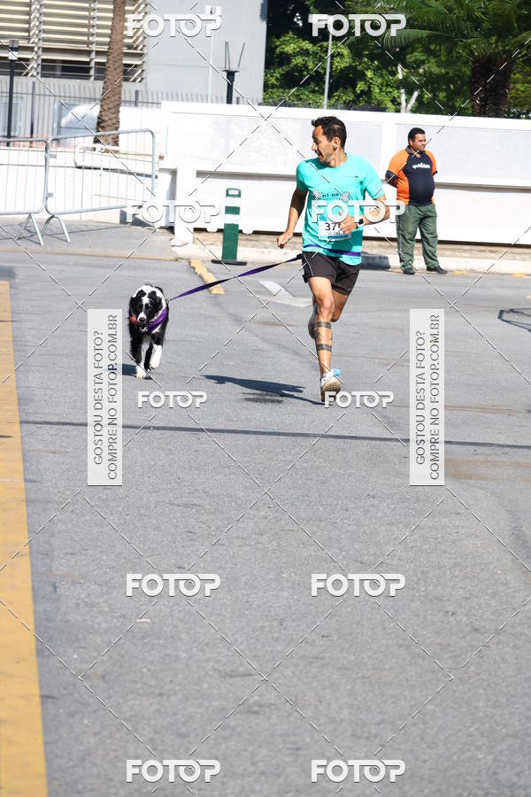Buy your photos of the event2 Pet Run Shopping Eldorado  on Fotop