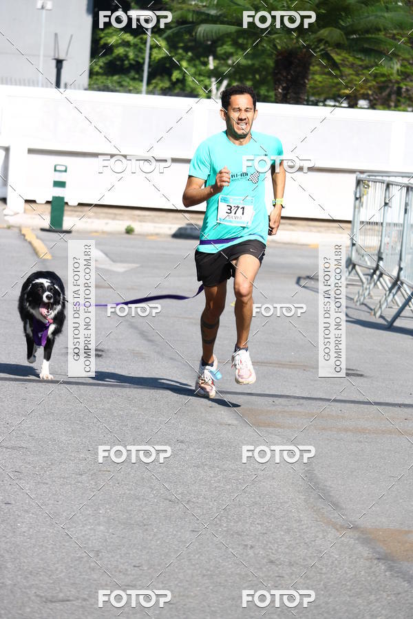 Buy your photos of the event2 Pet Run Shopping Eldorado  on Fotop