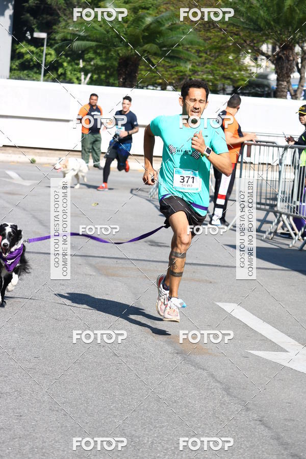 Buy your photos of the event2 Pet Run Shopping Eldorado  on Fotop