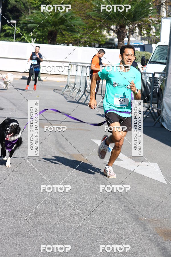 Buy your photos of the event2 Pet Run Shopping Eldorado  on Fotop